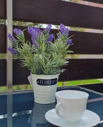 Wanderlust Апартаменты Альтенау